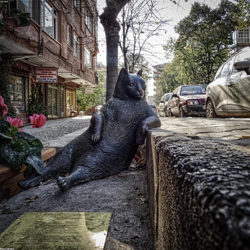 Personalised Rope Dog Lead — 1.8m Premium Cotton